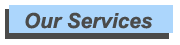 Our Services Menu Tab